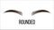 Medium Rounded Vector Hand Drawn Brows Shape