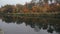 Medium view of a beautiful narrow small river with reeds on a background of yellow leaves in the autumn during the day