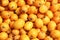 Medlar fruits pattern background texture market