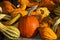Medley of Colorful Gourds with Pumpkin