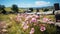 A medley of wildflowers creates a vibrant foreground, framed by the enduring allure of a rustic fence.