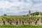 Medoc, France. Vineyards and church of the village Margaux