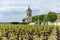 Medoc, France. Vineyards and church of the village Margaux