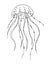 Medusa, black and white vector illustration isolated on a white background, hand-drawn.