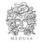 Medusa face continuous single line style