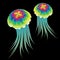 Medusa / jelly fish