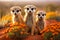 Meerkat family navigating the vibrant african safari. a heartwarming and captivating scene