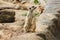 Meerkat has a small body size.