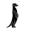 Meerkat icon. Small mongoose sign. vector illustration