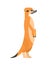 Meerkat isolated cartoon. Small mongoose. vector illustration