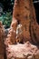 Meerkat perched infront of a termite hill