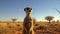 Meerkat\\\'s Watchful Sentry in the Kalahari Plains