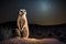 Meerkat stands in the middle of the savanna against the background of the night starry sky. Generative AI
