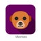 Meerkats animal face icon