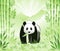 Meet the Bamboo Panda
