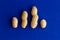 Meet the healthy peanut or groundnut family