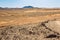 Meeting hamada stony deserts and sand deserts of the Sahara.