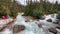 Meeting of waters trail with rocks in the middle of a forest in Glacier National Park during daytime