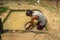 MEETIYAGIDA, SRI LANKA - AUGUST 24, 2019: panning for gemstones in moonstone mine at Meetiyagida