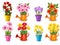 Mega collection of spring and summer colorful flowers in pots.