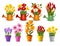 Mega collection of spring and summer colorful flowers in pots