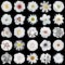 Mega pack of natural and surreal white flowers 25 in 1 isolated