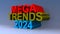 Mega trends 2024 on blue