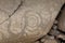 The megalithic art of Knowth | The valley of art