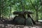 Megalithic grave in a forest in spain