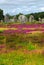 Megalithic monuments in Brittany