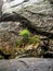 Megalithic rock formations in the Table Mountain National Park, Poland