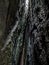 Megalithic rock formations in the Table Mountain National Park, Poland