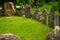 Megalithic stone circle located in Kriviy Rih city in Ukraine. Summer time. Juicy grass among the ancient pagan sanctuary.