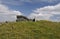 Megalithic Wedge Tomb