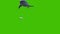 Megalodon Attacks the Shark Green Screen 4K 3D Rendering Animation