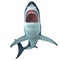 Megalodon Shark Front Profile