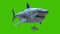 Megalodon and Shark Green Screen 4K Front 3D Rendering Animation