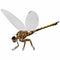 Meganeura Dragonfly Side Profile