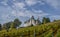 Meggenhorn Castle with vineyard