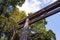 Meiji-jingu torri gate in Harajuku, Tokyo Japan