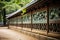 Meiji Shrine in Tokyo Japan travel destination picture