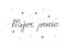 Mejor precio phrase handwritten with a calligraphy brush. Best price in spanish. Modern brush calligraphy. Isolated word black