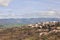 Meknes city panoramic view , Morocco