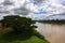 Mekok River and Tree.