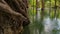 Mekong River when monsoon rains create  water and cover the vast area of land