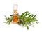 Melaleuca essential oil in the pharmaceutical bottle with twigs.