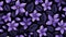 Melancholic Blooms: A Seamless Display of Purple Flowers on a Bl