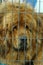 Melancholic Golden Retriever Tibetan Mastiff