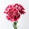 Melancholic Pink Carnations In Vase: Bold And Graceful Commercial Photography