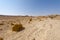 Melancholy and emptiness of the desert in Israel.